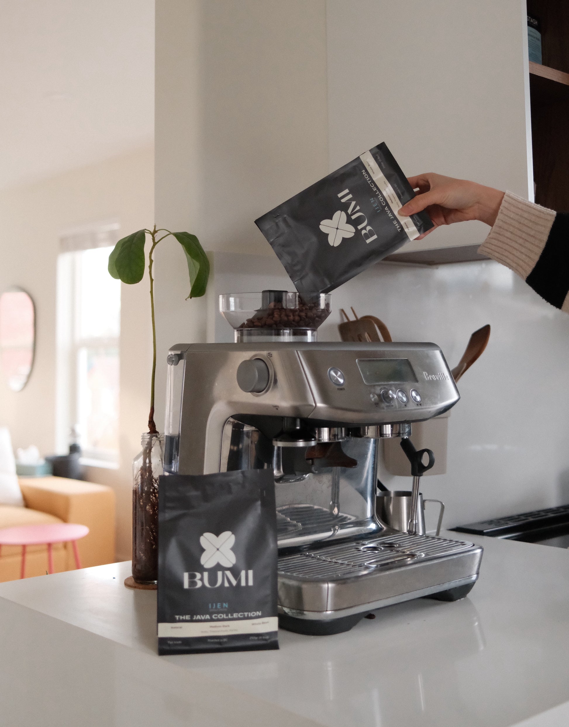 IJEN Natural | Medium-Dark